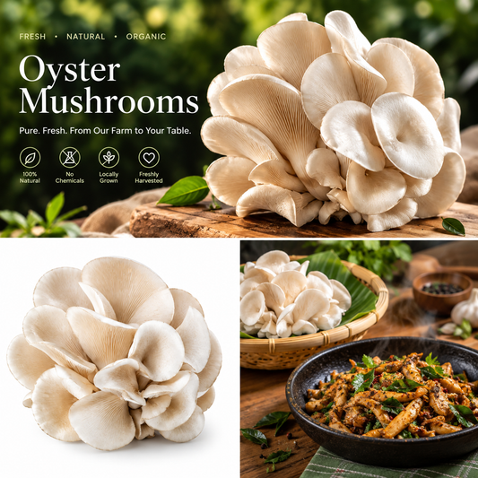 Fresh Oyster Mushrooms